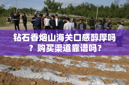 钻石香烟山海关口感醇厚吗？购买渠道靠谱吗？